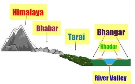 The Great Northern Plains